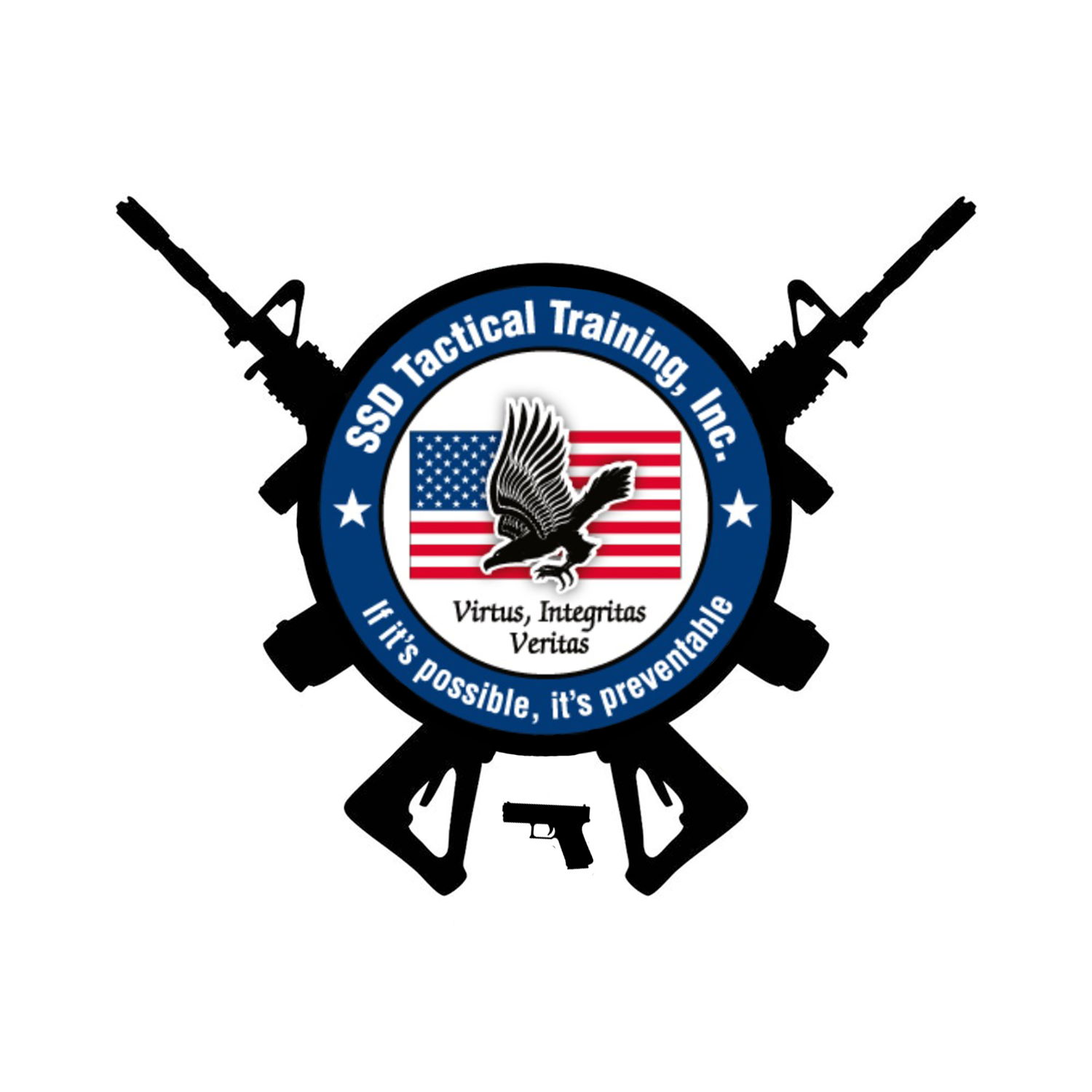 SSDTT Weapons Logo